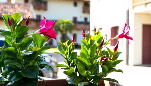 Albergo Diffuso Polcenigo B.Vittorio - Foto 4