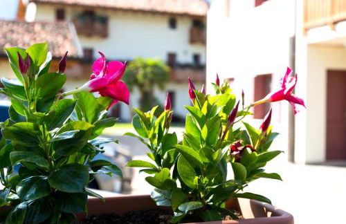 Albergo Diffuso Polcenigo B.Vittorio - Foto 4