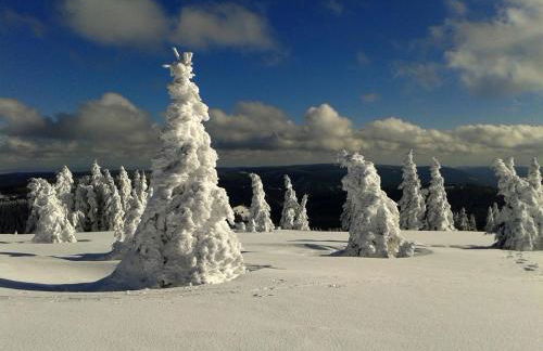 Biber Lodge - Foto 23