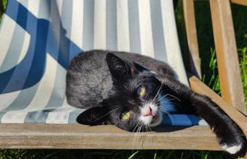 Fewo VOR DEM BERG Bergstraße 21 - Foto 47