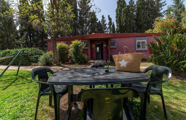 Mizra Guest House - Foto 12