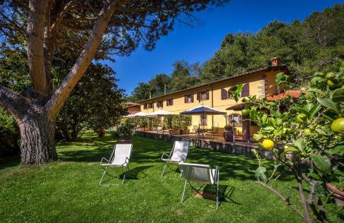 Podere Casalino - Foto 30