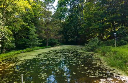 Historic Barn Retreat w Pool Pond Views Longview Pond Lodge by AvantStay - Foto 38