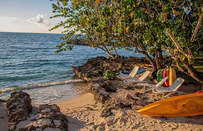 Sunrise at Point Village - Photo 25