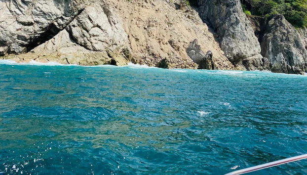 Enjoying the whale watching tour