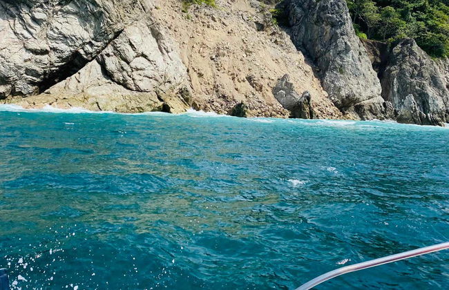 Pochote Whale Watching Tour - Photo 4