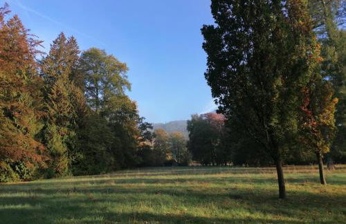 Ferienwohnungen an der Hufeland-Therme - Foto 33