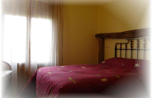 La Noguera de Socasa - Foto 14