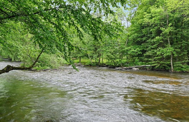 Riverside Retreat -breathtaking View Kayak ATV - Foto 49