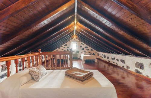 El patio canario - Foto 18