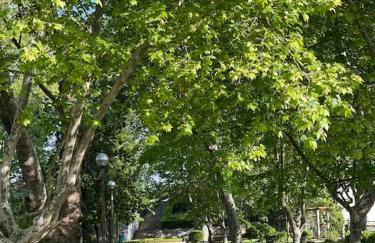 Cantinhos Da Serra e Sopé, Soure - Foto 24