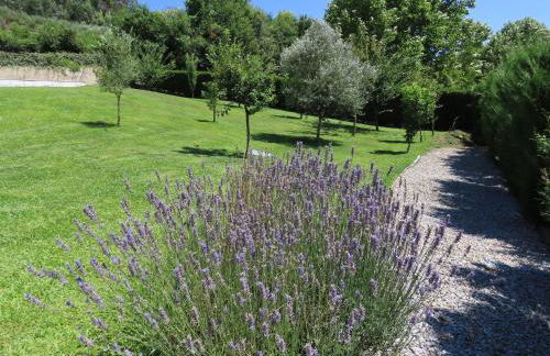 Basto Village House - Foto 24