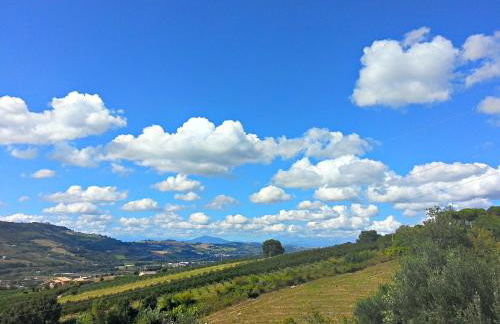 Agriturismo MonteMaggio - Foto 13