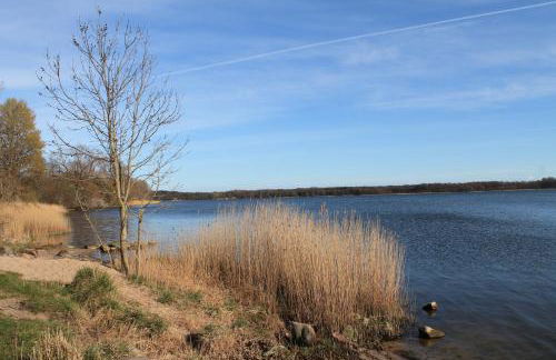 Holiday Home Schleiblick - Foto 31