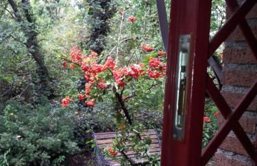 Cirasellaetna - Foto 86