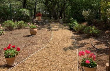 Le Petit Chene - Foto 2