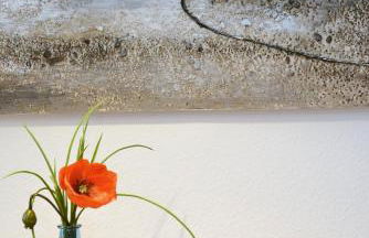 Ferienwohnung Sonnensegler - Foto 15