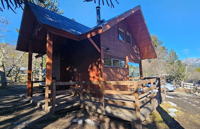 Oceana Suites Corralco - Photo 46