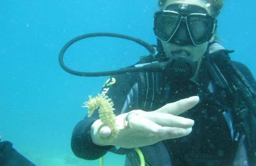 Rustic- Chic Villa in a Private Olive Grove - Filiatra - Foto 34