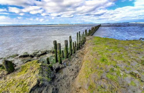 Lille Solskin - Foto 28