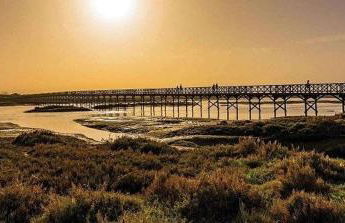 Quinta do Lago Beach House - Foto 39