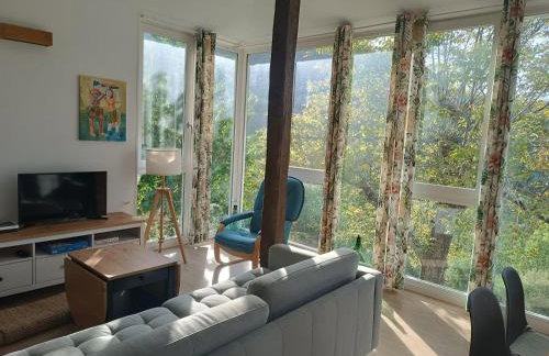 O Salgueiral - Foto 35