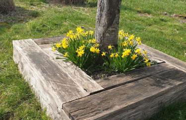 La Dragonne, centre de Bellême, maison entièrement équipée, jardin, vue forêt - Foto 17