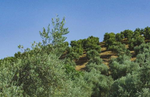 Cubo's Casa Rural Mar Verde - Foto 18