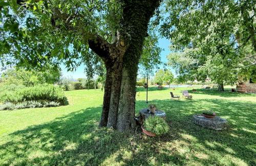 Elegant Farmhouse Retreat in Poreta, Italy - Foto 52