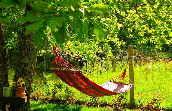 Pool Villa Espigueiro I - Foto 16