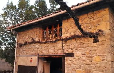 Flor de Pomar - Foto 49