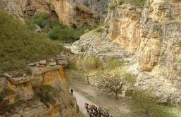 Villa San Jorge - Photo 33