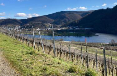 Ferienhaus Goldstück wohnen im Weinberg - Foto 54