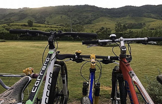 Misty English Cottage - Foto 60