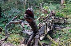 Casa Canal de las Tejeras - Foto 40