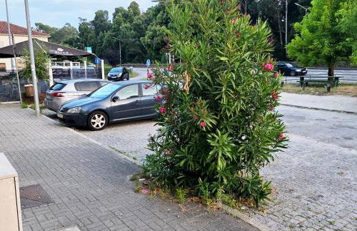 Villarmo cais - Foto 49