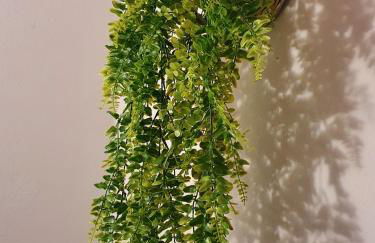 Rosinha Country House - Foto 17