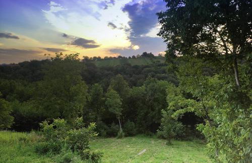 Kraljeva hiža - Apartmani i sobe Kralj - Foto 58