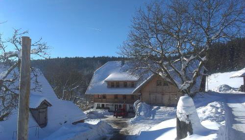 Sigmundenhof Schonach - Foto 3