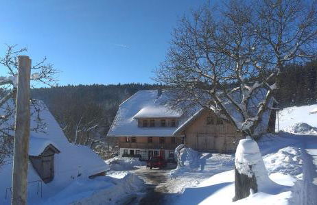 Sigmundenhof Schonach - Foto 3