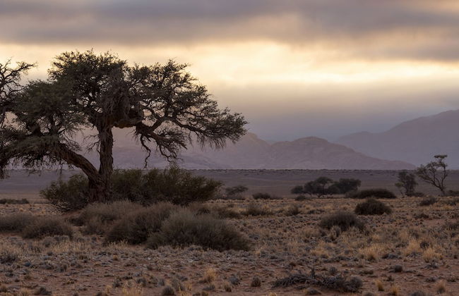 Desert Quiver Camp - Foto 28