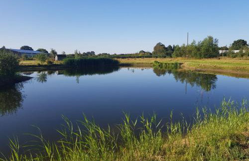 Willow Cottage - Foto 8