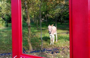 Agriturismo Le Spezie - Foto 78