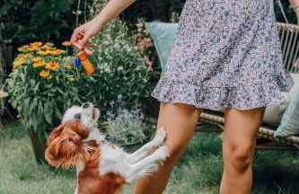 Pepper & Paper Apartments - Foto 86