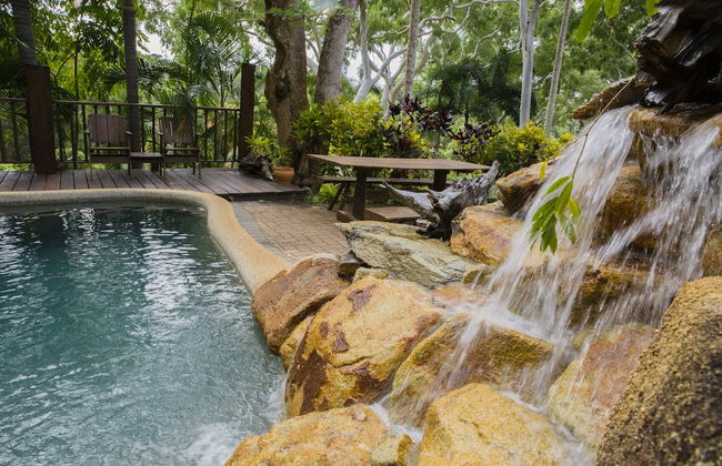 Milkwood Lodge - Photo 8