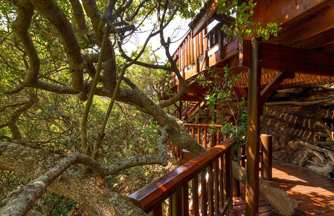 Ballots Bay Treehouse by HostAgents - Foto 4
