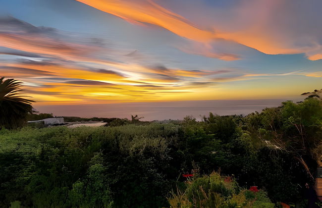 Cape Rose Cottage - Foto 47