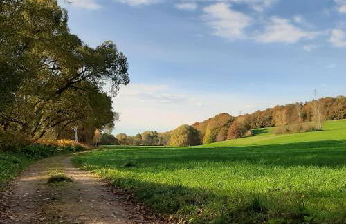 Ferienwohnung im grünen Muldental - Foto 32