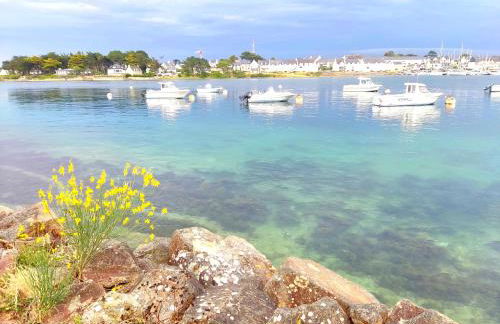 Chalet cosy, plages à pieds. Morbihan. - Foto 13
