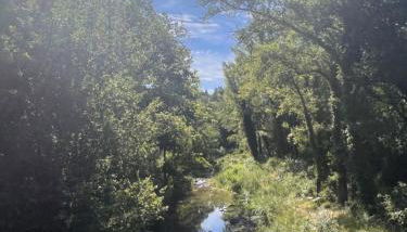 Le Grand Hermas - Foto 4